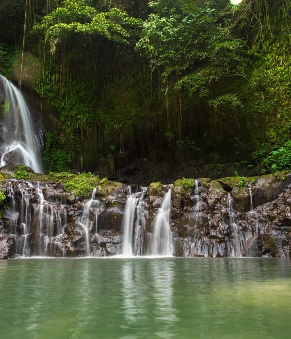 Nature and Wellness